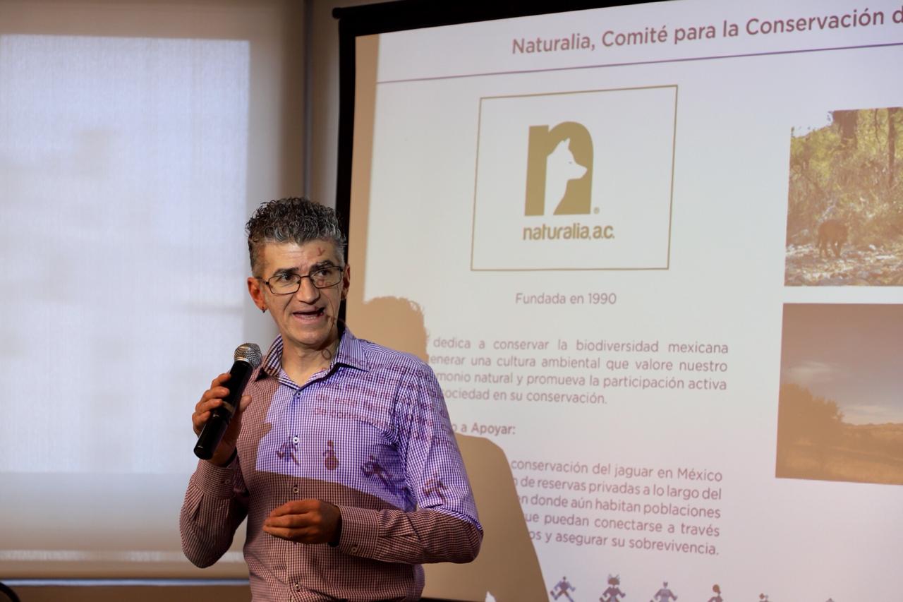 pablo elizarraras, naturalia.jpeg