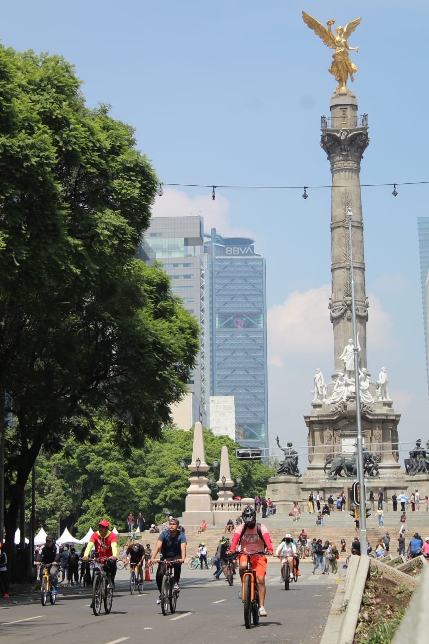 42bc8535-de58-40db-b38d-b22976921e32.jpg