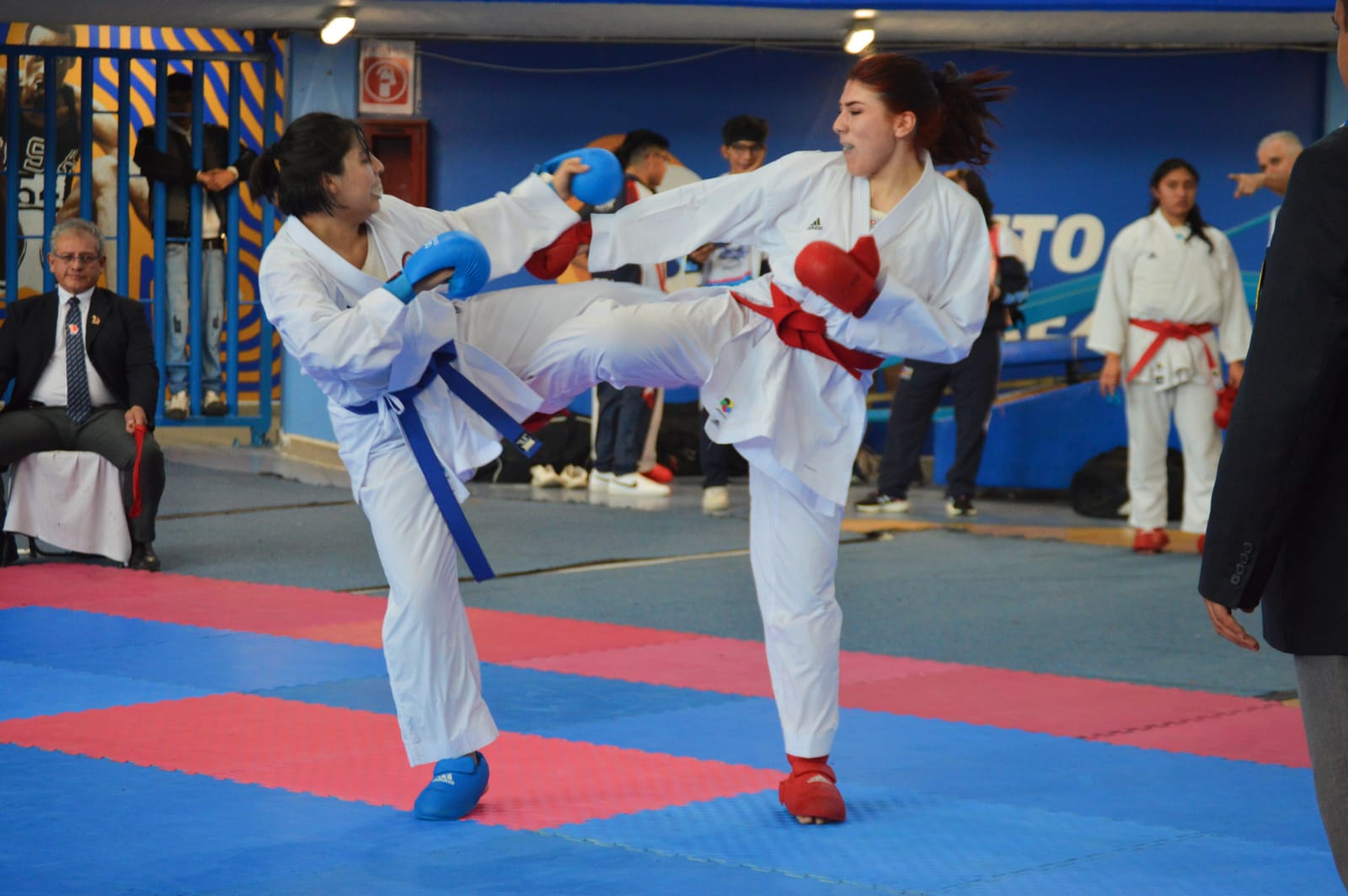 6504b486-f38c-4d93-be97-331d3827bb9a.jpg
