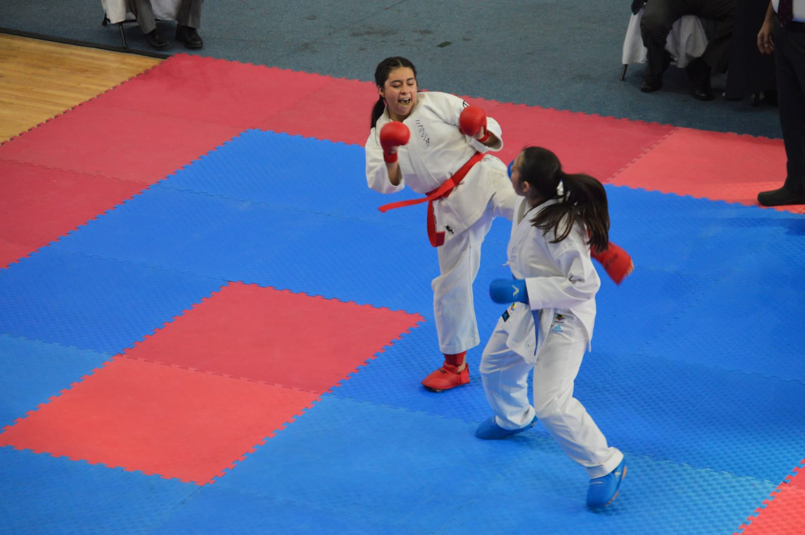 a1db51f8-643c-458b-8a97-f2968e25cc75.jpg